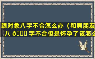 跟对象八字不合怎么办（和男朋友八 🐎 字不合但是怀孕了该怎么办）